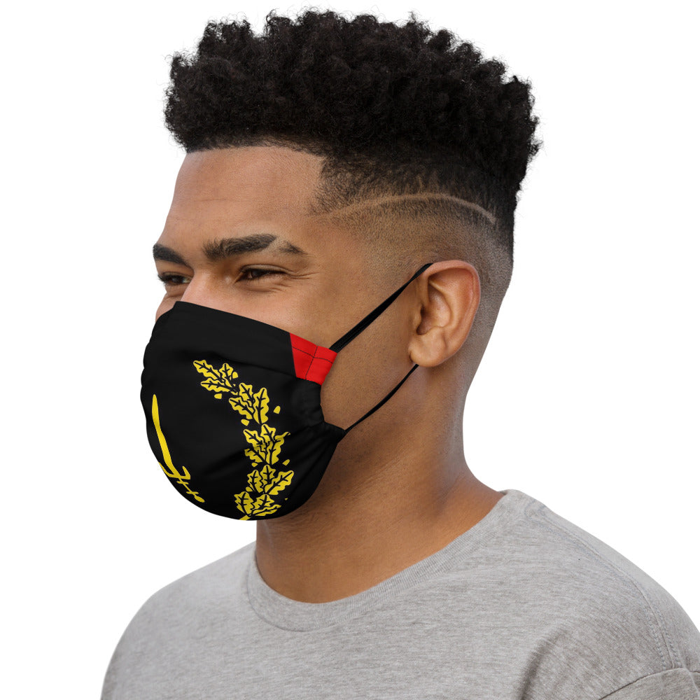 African American Heritage flag Premium face mask