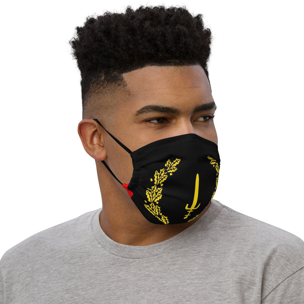 African American Heritage flag Premium face mask